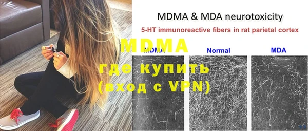 молекула духа Алзамай