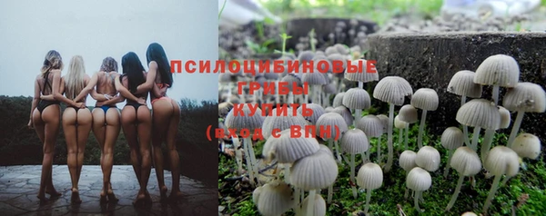 эйфоретик Алексин