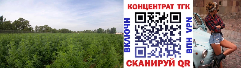продажа наркотиков  Жуков  ТГК вейп 