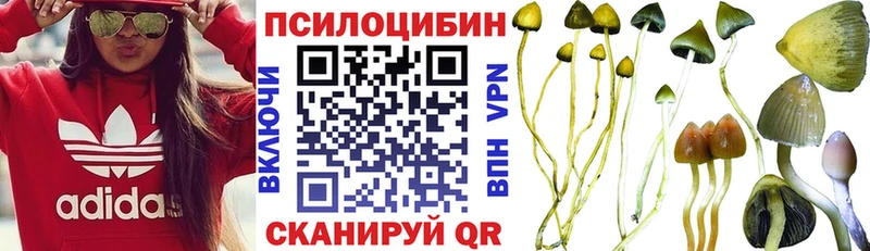 Псилоцибиновые грибы прущие грибы  цена наркотик  Жуков 
